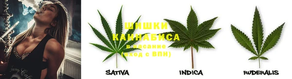 Альфа ПВП Аркадак