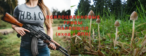 гидропоника Армянск