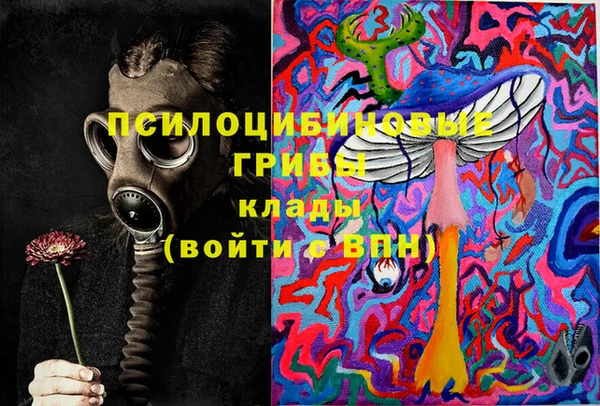 гидропоника Армянск