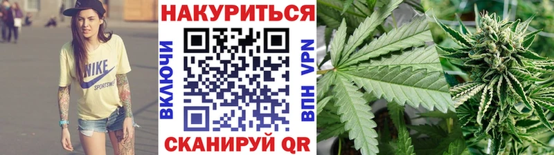 где купить наркоту  MEGA tor  Марихуана план  Сертолово 